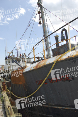 Dukes Boot Cape Rouge aus der TV-Serie 'Haven'