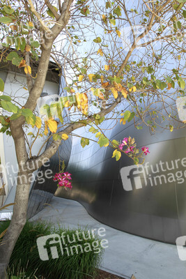 Walt Disney Concert Hall