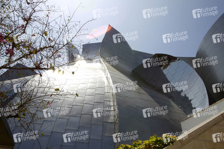 Walt Disney Concert Hall