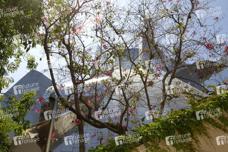 Walt Disney Concert Hall