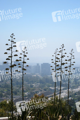 Blick vom Getty Center