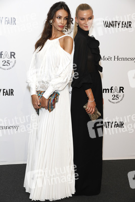 Madalina Ghenea, Fiammetta Cicogna