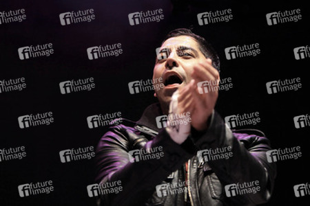 Ali Tabatabaee (Zebrahead)