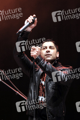 Ali Tabatabaee (Zebrahead)