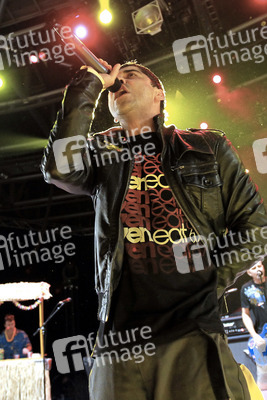 Ali Tabatabaee (Zebrahead)