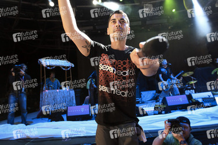 Ali Tabatabaee (Zebrahead)