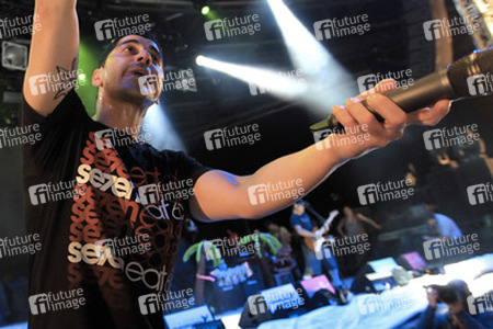 Ali Tabatabaee (Zebrahead)