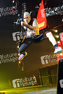 Michael 'Flea' Balzary (Red Hot Chili Peppers)