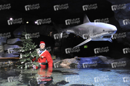 Sealife-Weihnacht