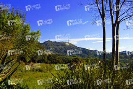 Hollywood Sign