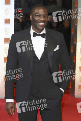 Adewale Akinnuoye-Agbaje
