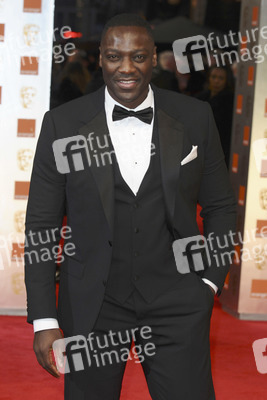 Adewale Akinnuoye-Agbaje