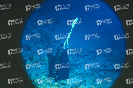 Wrack der Titanic - Wissenschftliches Experiment einer französichen Expedition zur Feststellung, wie lange es dauert, bis das Wrack völlig zerfällt