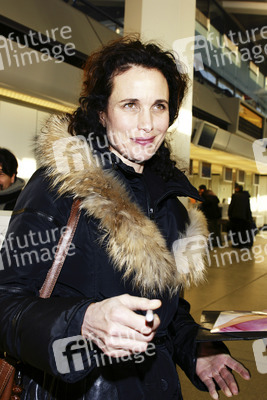Andie MacDowell