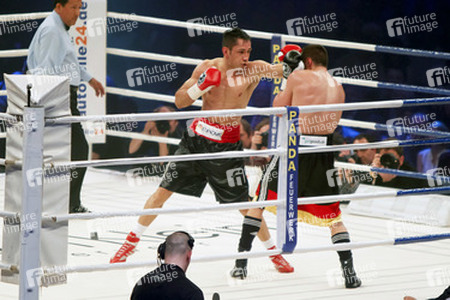 Felix Sturm, Sebastian Zbik