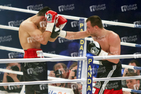 Felix Sturm, Sebastian Zbik