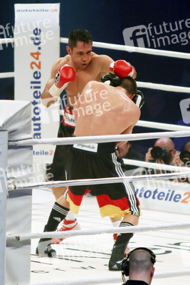 Felix Sturm, Sebastian Zbik