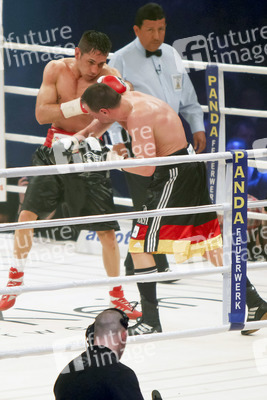 Felix Sturm, Sebastian Zbik