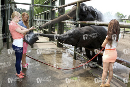 Leonore 'Leo' Bartsch, Ronja Hilbig, Gabriella 'Gabby' De Almeida Rinne (Queensberry)