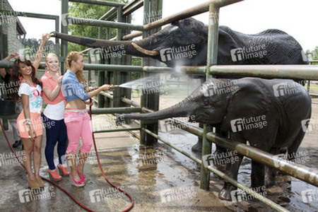 Gabriella 'Gabby' De Almeida Rinne, Ronja Hilbig, Leonore 'Leo' Bartsch (Queensberry)