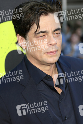 Benicio Del Toro