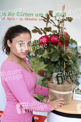 Susianna 'Susi' Kentikian