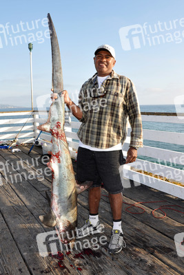 Angler mit Hai