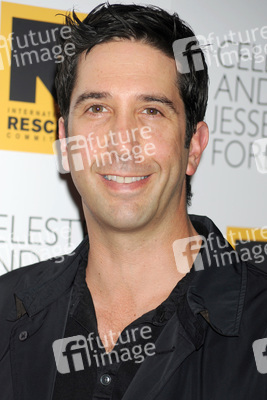 David Schwimmer