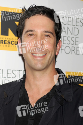 David Schwimmer