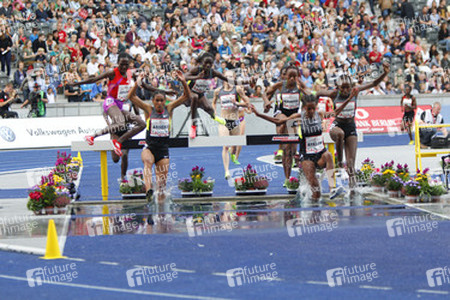 3000m Hindernisläuferinnen