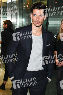 David Gandy