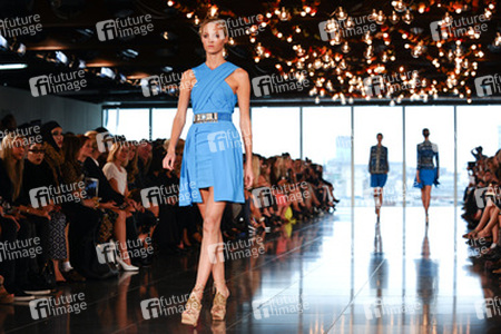 Matthew Williamson Model