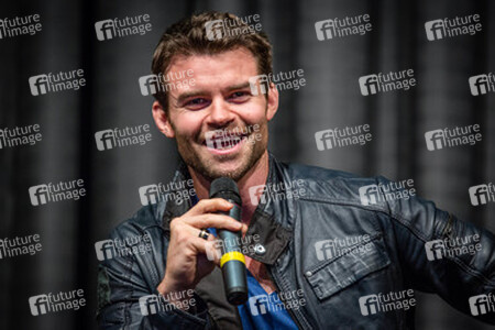 Daniel Gillies