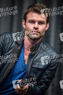 Daniel Gillies