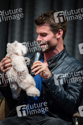 Daniel Gillies