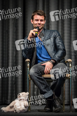 Daniel Gillies