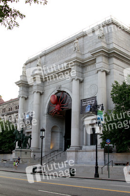American Museum of Natural History