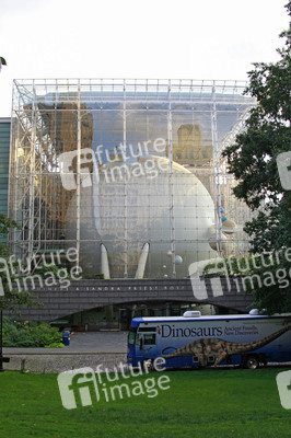 Rose Center for Earth and Space