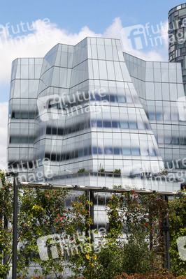 IAC Building