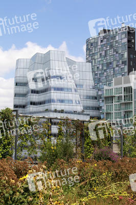 IAC Building