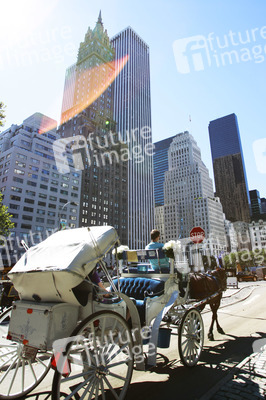 Sherry-Netherland Hotel und General Motors Building