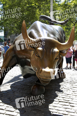 Charging Bull