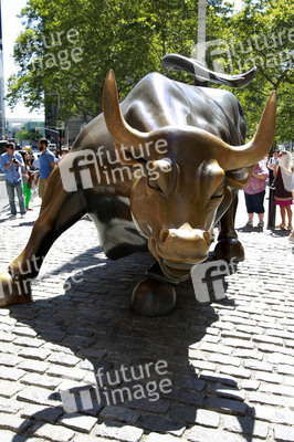 Charging Bull
