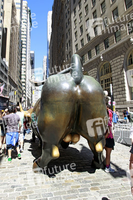 Charging Bull