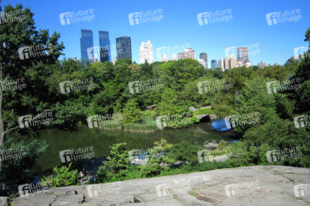 The Pond mit Gapstow Bridge