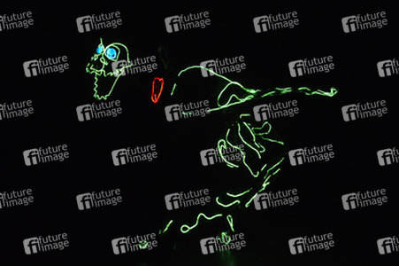 Lightwire Theater Ensemble