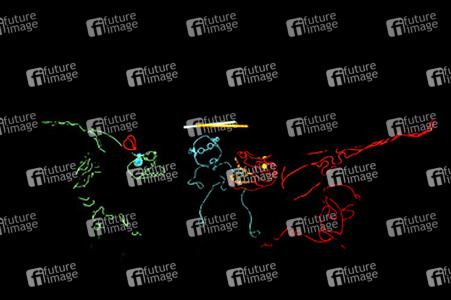 Lightwire Theater Ensemble