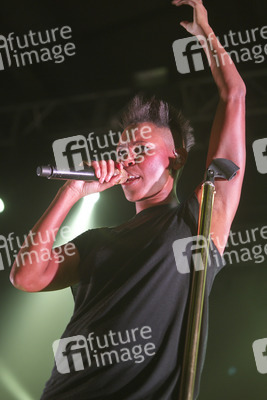 Deborah Anne Dyer / Sin (Skunk Anansie)