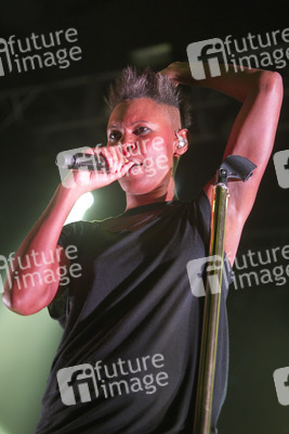 Deborah Anne Dyer / Sin (Skunk Anansie)