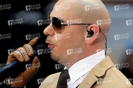 Pitbul
